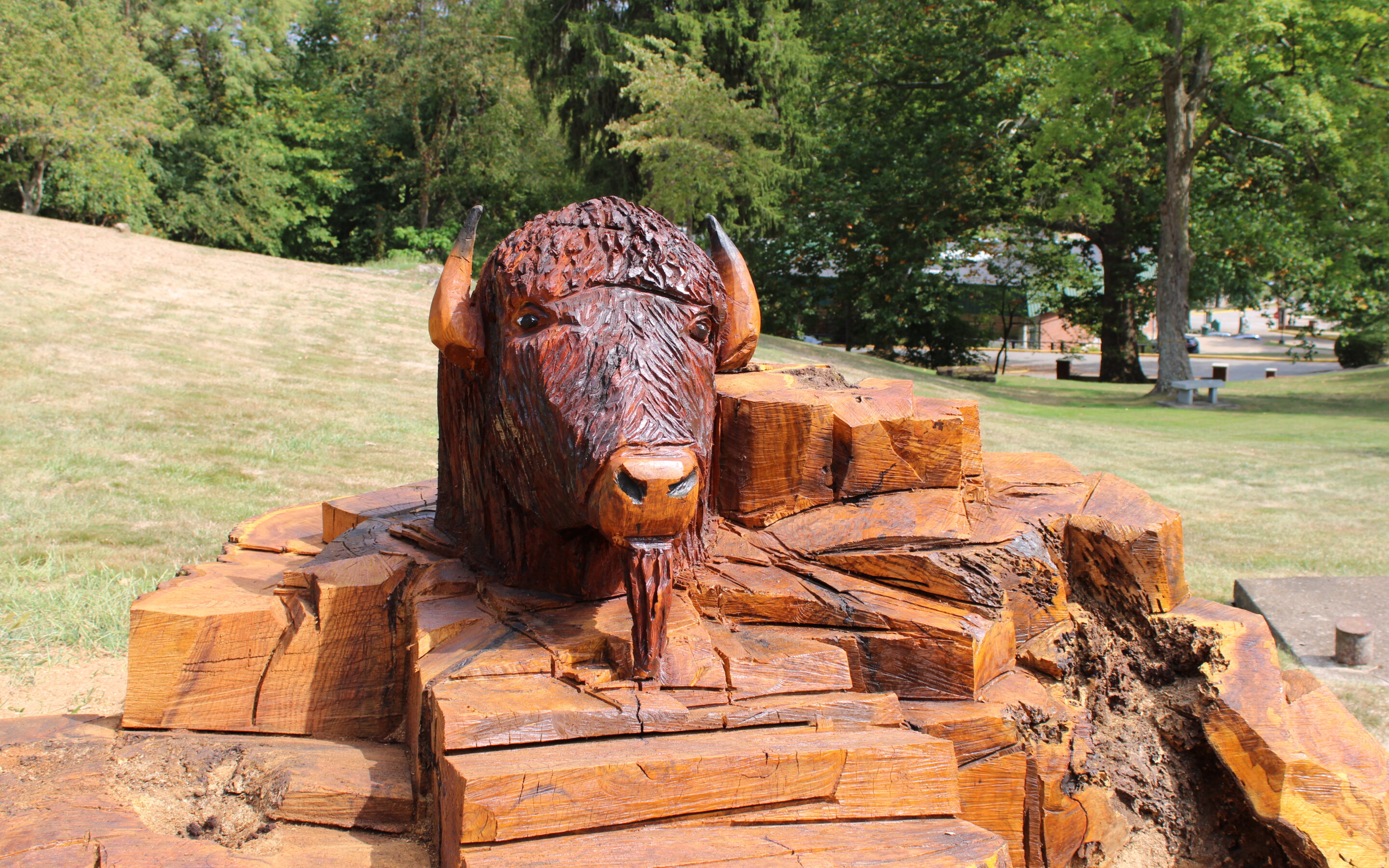 Bethany College Unveils New Bison Outdoor Seating in Honor of Campus Tradition